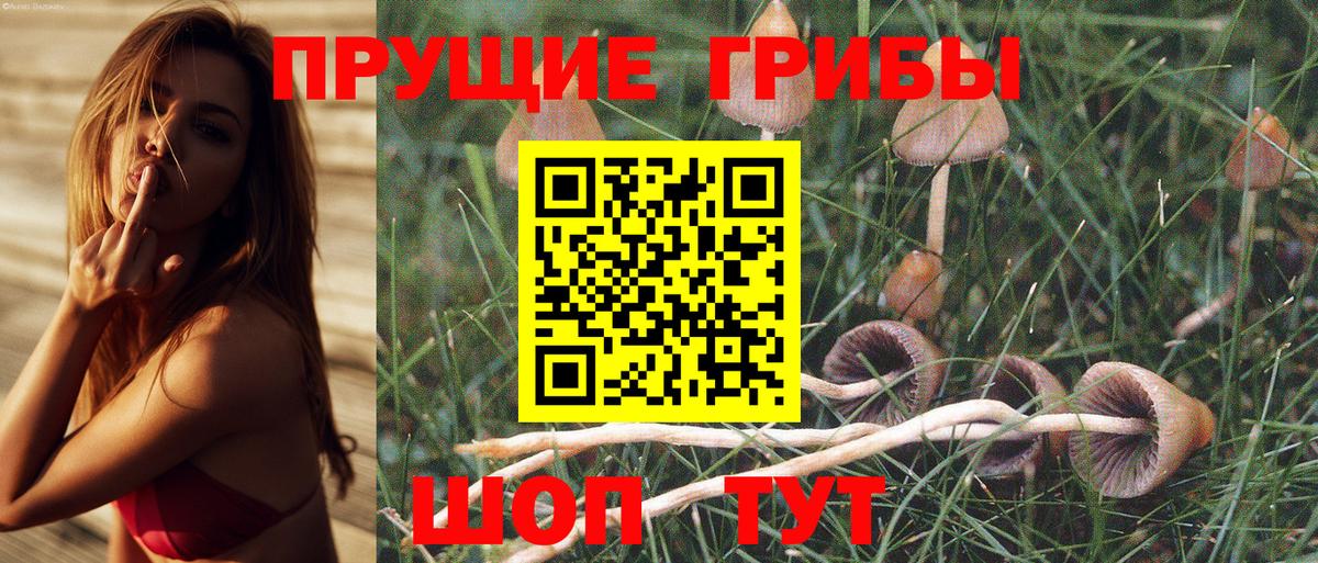 Галлюциногенные грибы Magic Shrooms  Вход с VPN  Подольск 